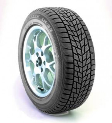 Bridgestone Blizzak LM22