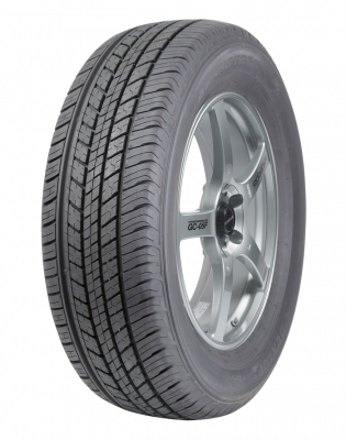 Dunlop Grandtrek ST30 tread pattern