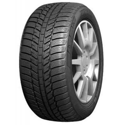 Evergreen Winter EW62