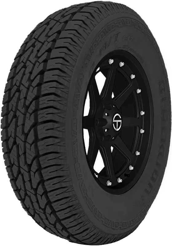 Blacklion BA80+