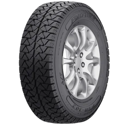 Fortune FSR302
