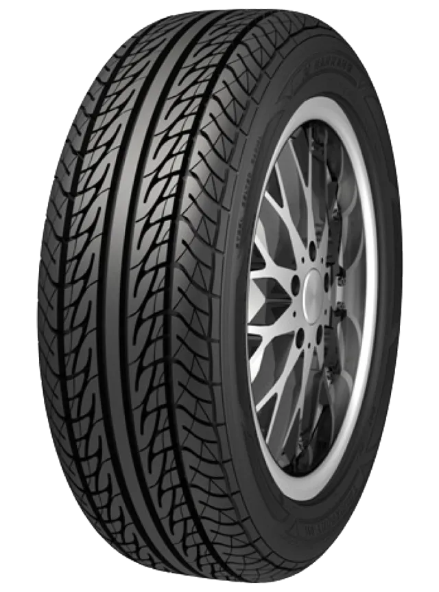 Nankang Toursport 611
